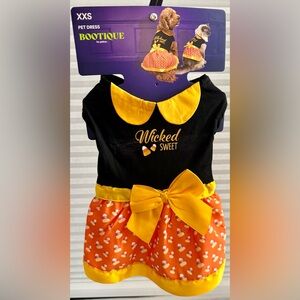 Bootique Wicked Sweet Pet Dress - Black and Orange